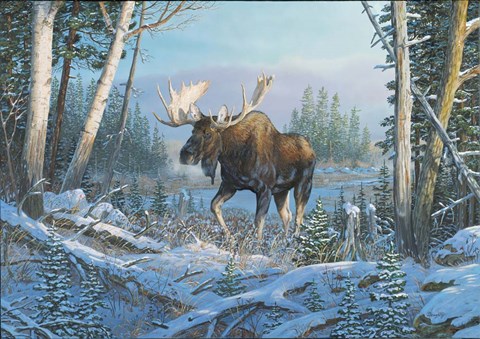 Framed On The Move Print