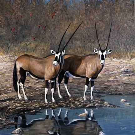 Framed At The Waterhole Print