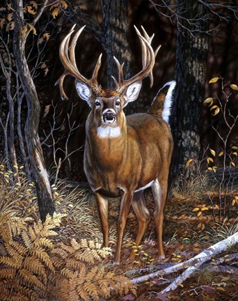 Framed Bad Attitude Print