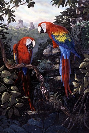 Framed Macaws Red Print