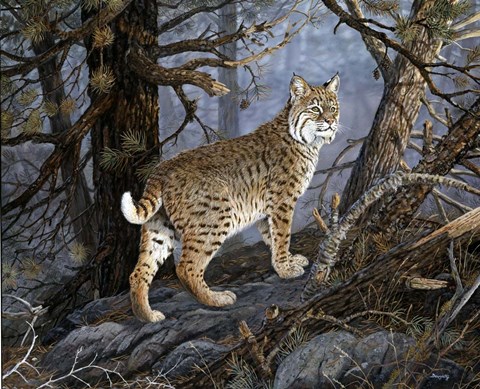 Framed My Domain Print