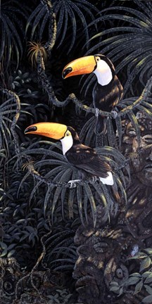 Framed Toucans Print