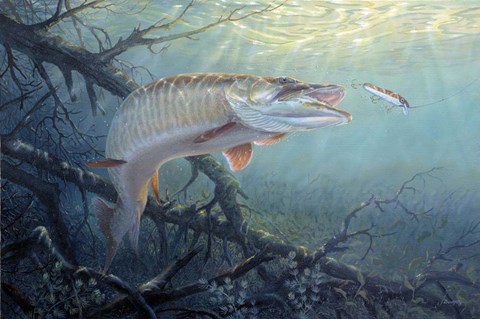 Framed In The Zone Print