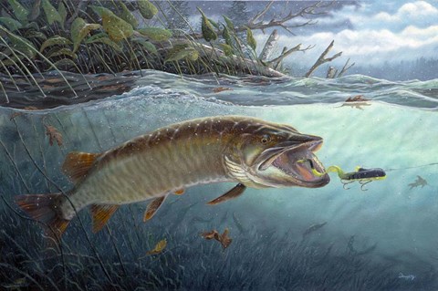 Framed On The Edge Print