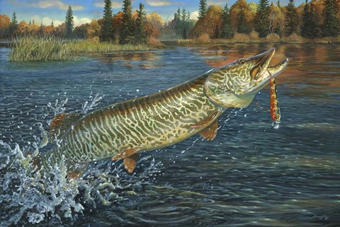 Framed Domain Of The Tiger Print