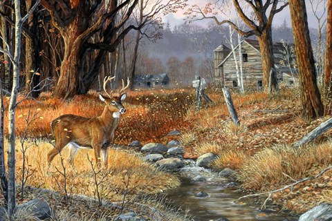 Framed Forgotten Valley Print