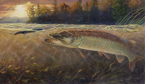 Framed Last Cast Strike Print