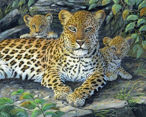 Framed Leopards&#39; Lair Print
