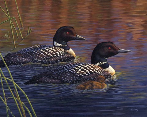 Framed Spirit Of The Wilderness Print