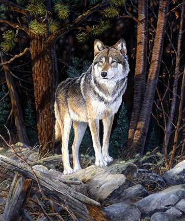 Framed Solitary Sentinel Print