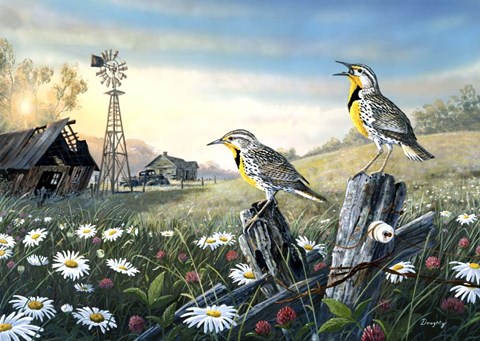 Framed Meadow Outpost Print