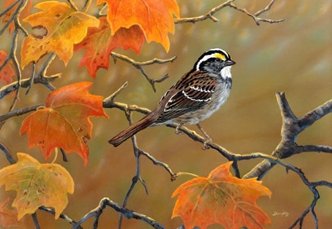 Framed Whitethroated Sparrow Print