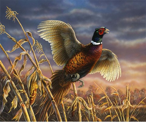 Framed Royal Flush Print