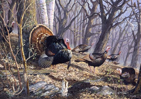 Framed Over The Top Print