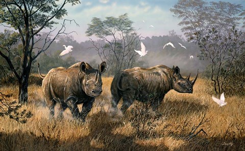 Framed Rhino Print