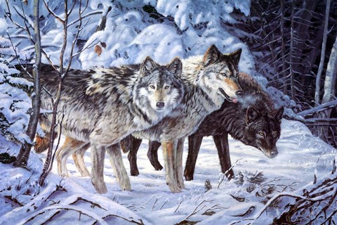 Framed Out Of The Shadows Print