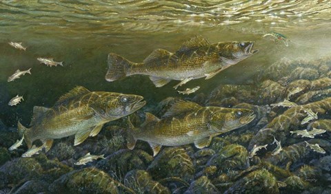 Framed Reef Runners Print