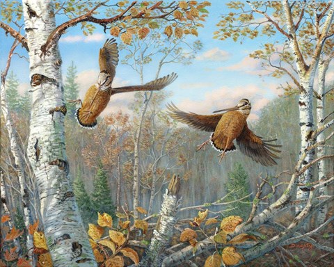 Framed Dipsy Doodle Dandies Print