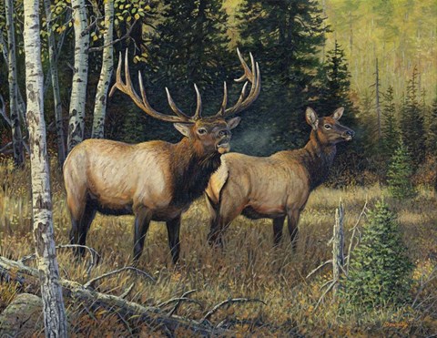 Framed Singing Wilderness Print