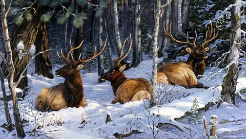 Framed Full House Print