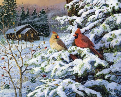 Framed Winters Warm Glow Cardinals Print