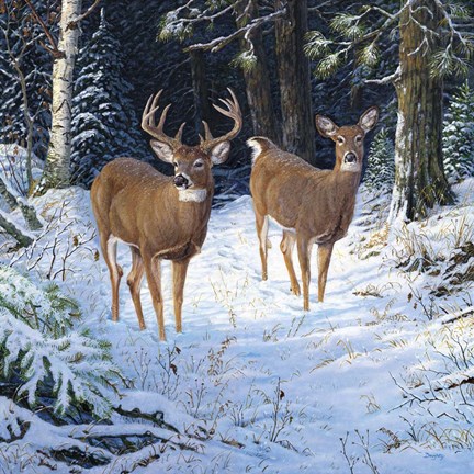 Framed Savor The Moment Print