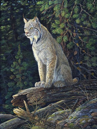 Framed Anticipation Print