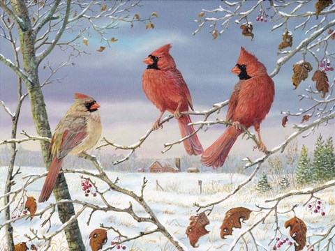 Framed First Snow Cardinals Print