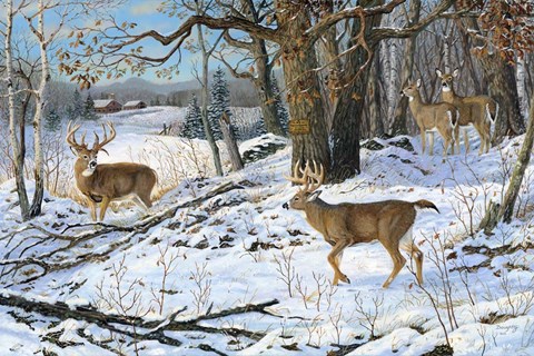 Framed No Trespassing Print