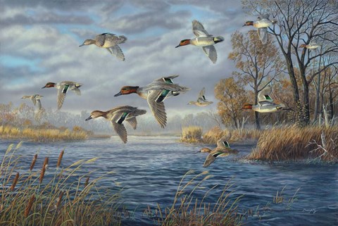 Framed Sancutary Bay Print