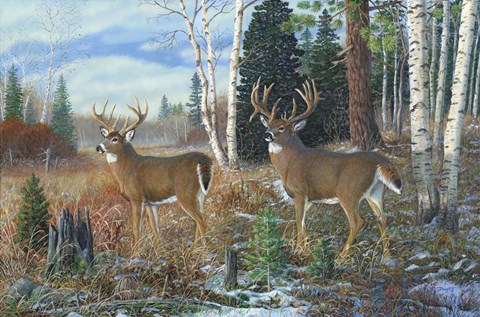 Framed Tall Timber Bucks Print