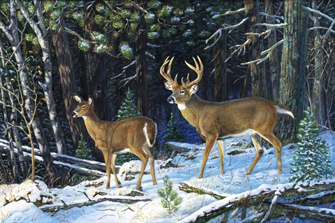 Framed Deep Woods Echoes Print