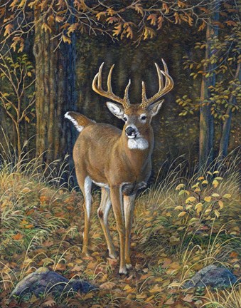 Framed Sweet Recollections I Print