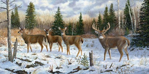 Framed On Alert Print