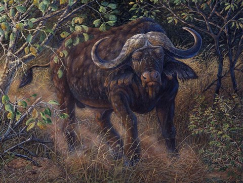 Framed Deadly Intensions Print