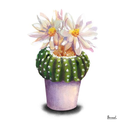 Framed Cactus Flowers IX Print