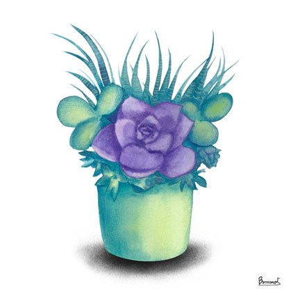 Framed Turquoise Succulents III Print
