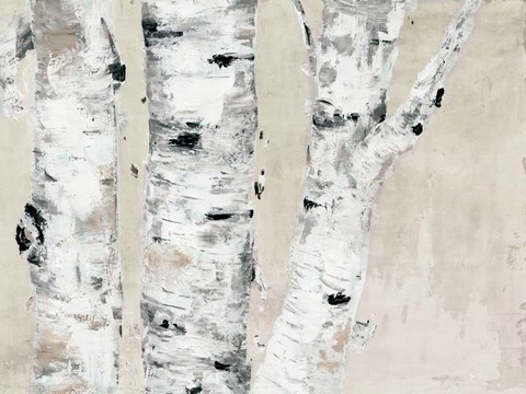 Framed Birch Tree Close Up Neutral Print