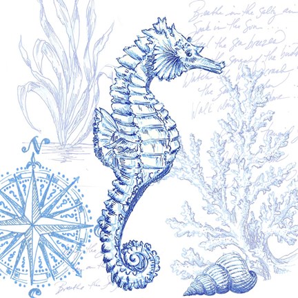 Framed Coastal Sketchbook Sea Horse Print