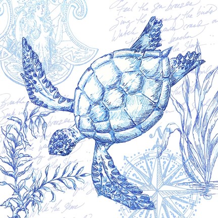 Framed Coastal Sketchbook Turtle Print