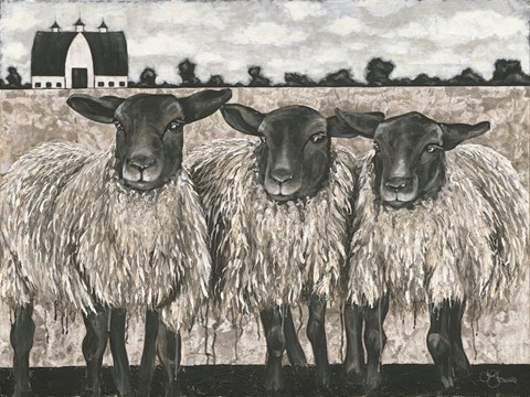 Framed Three Sheep Print