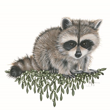 Framed Baby Raccoon Print
