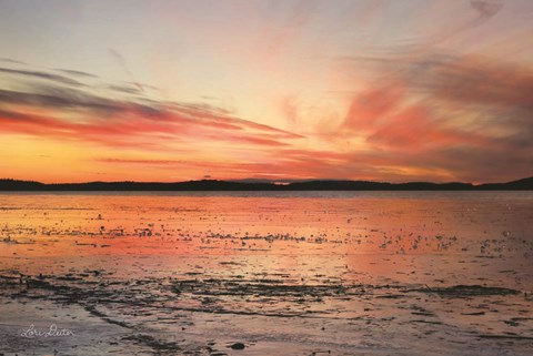 Framed Fire and Ice Print