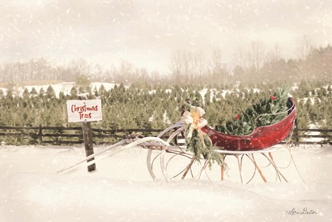 Framed Red Sleigh at Tree Farm Print
