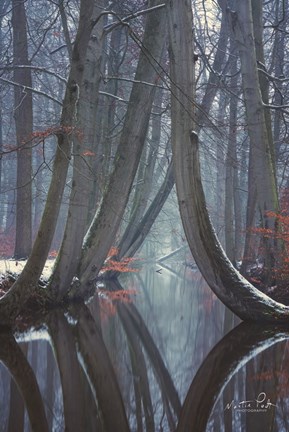 Framed Bent Ones - Winter Version Print