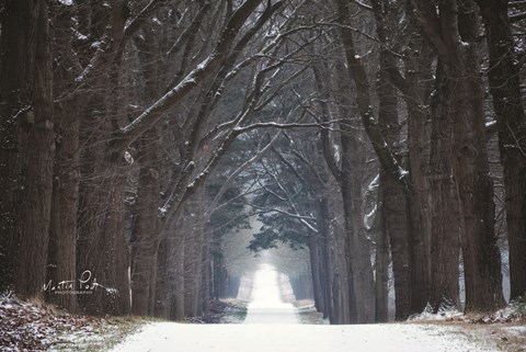 Framed Cold Road Print