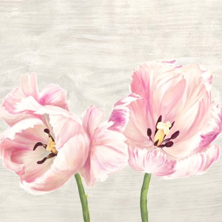 Framed Classic Tulips II Print