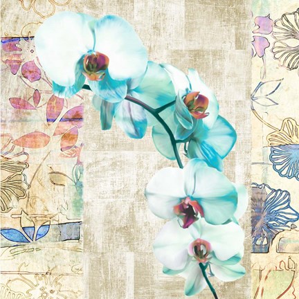 Framed Kaleidoscope Orchid II (detail) Print
