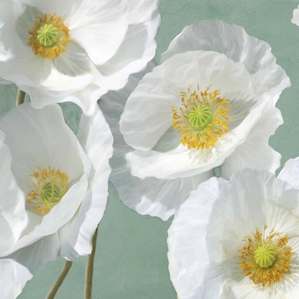 Framed Poppies on Mint I Print