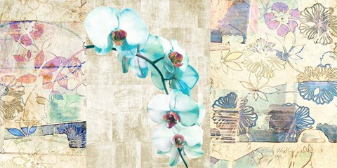 Framed Kaleidoscope Orchid II Print